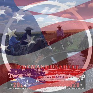 Meet your Posher, Cody